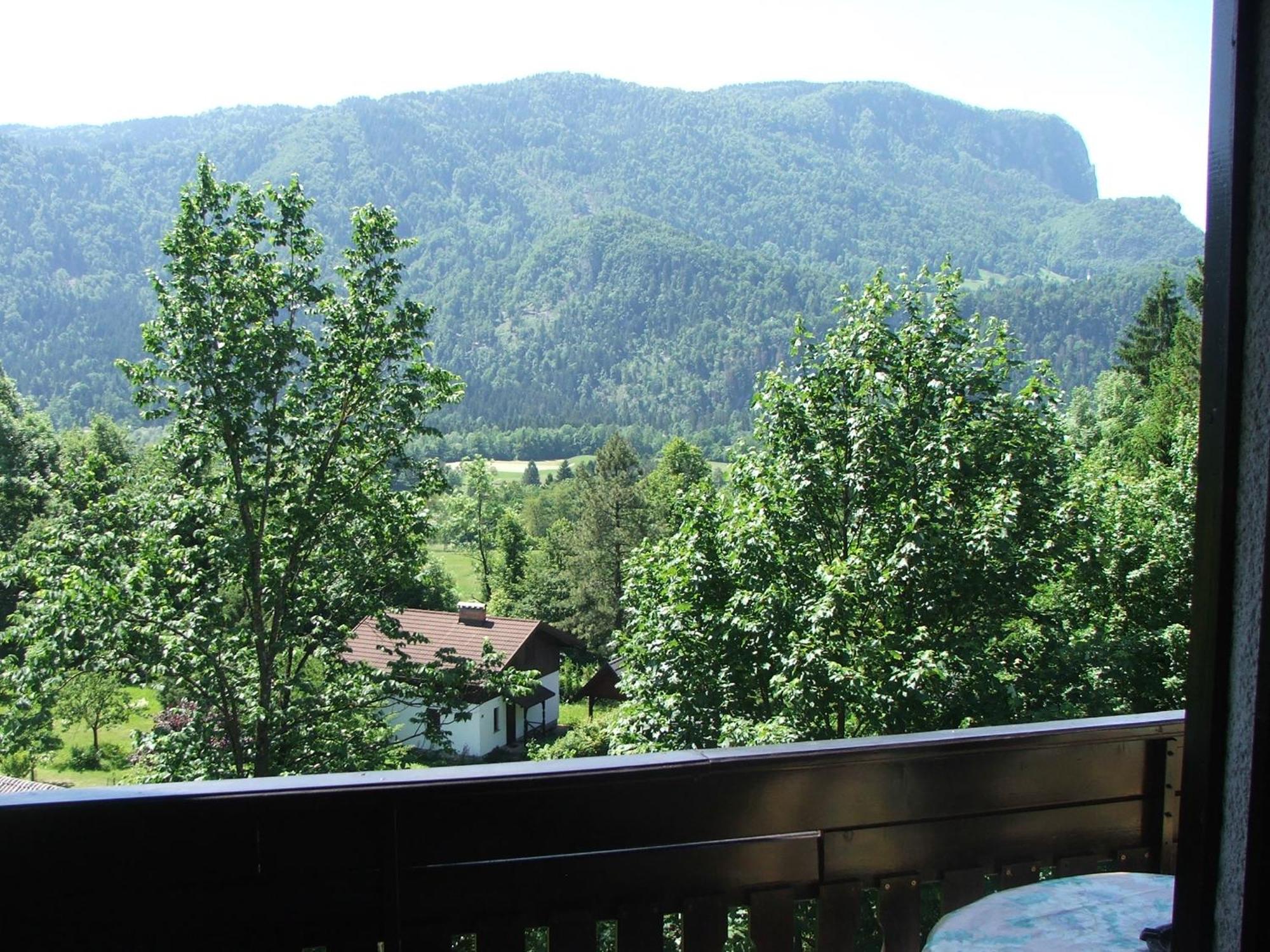 Tourist House Capricorn Apartment Блед Стая снимка