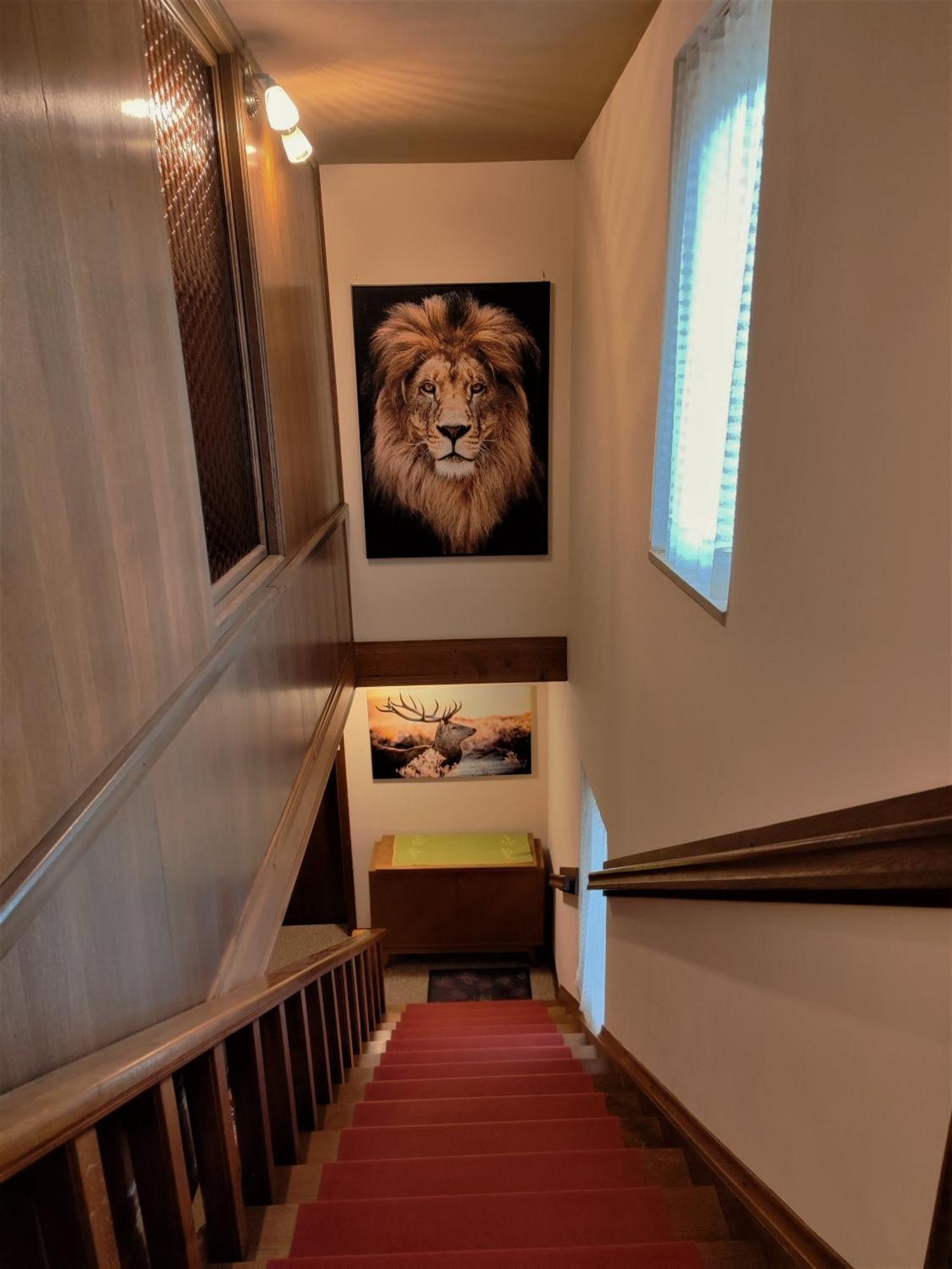 Tourist House Capricorn Apartment Блед Екстериор снимка